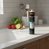 Forza 10 sil sigillante siliconico resistente alle muffe 280 ml *** colore- bianco, confezione 1