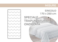 Trapunta Piumone Invernale Imbottita 300gr Microfibra Diadema Flower - 1 Piazza - D19 Flora