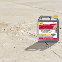 Salvaterrazza protettivo anti infiltrazione idrorepellente consolidante *** formato 5 lt, confezione 1