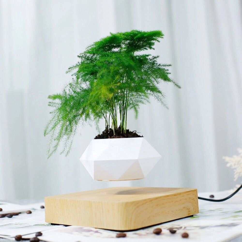 Vaso per piante bonsai a levitazione magnetica che vola piantina sospesa in aria
