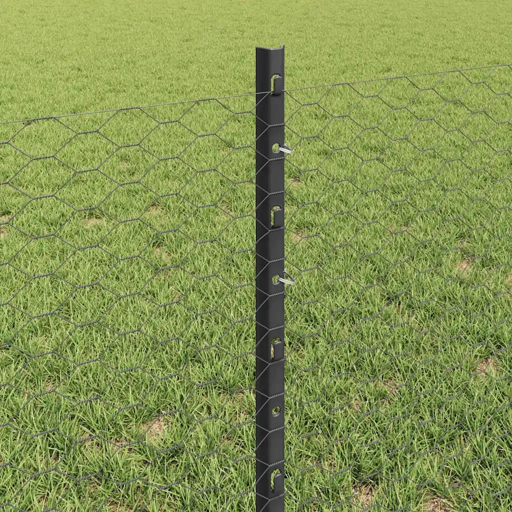 Recinzione da Giardino | Recinzione con Posto Grigio