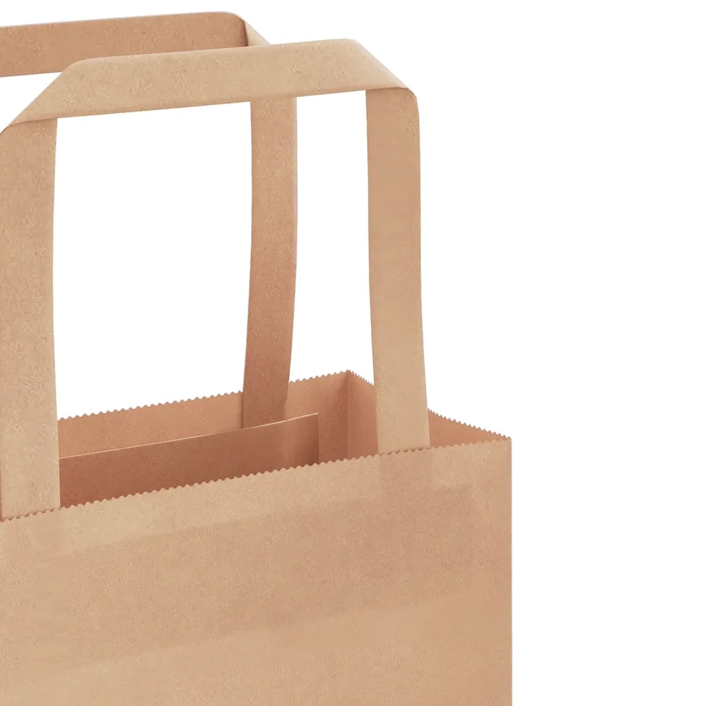 Sacchetti di Carta 250 pz con Manici Marrone 18x8x22 cm CFW5011936