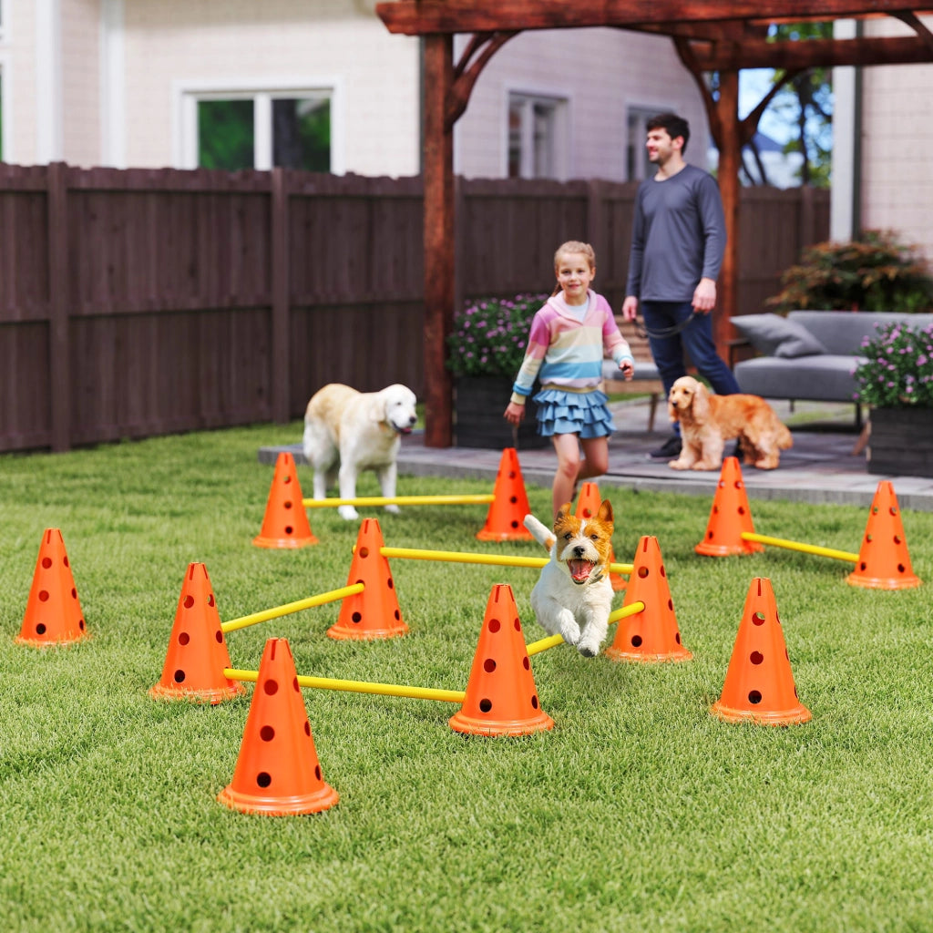 Set Agilit¨¤ per Cani 6 Pezzi con Sacchetto Trasporto ¨C zephmum ¨C Arancione