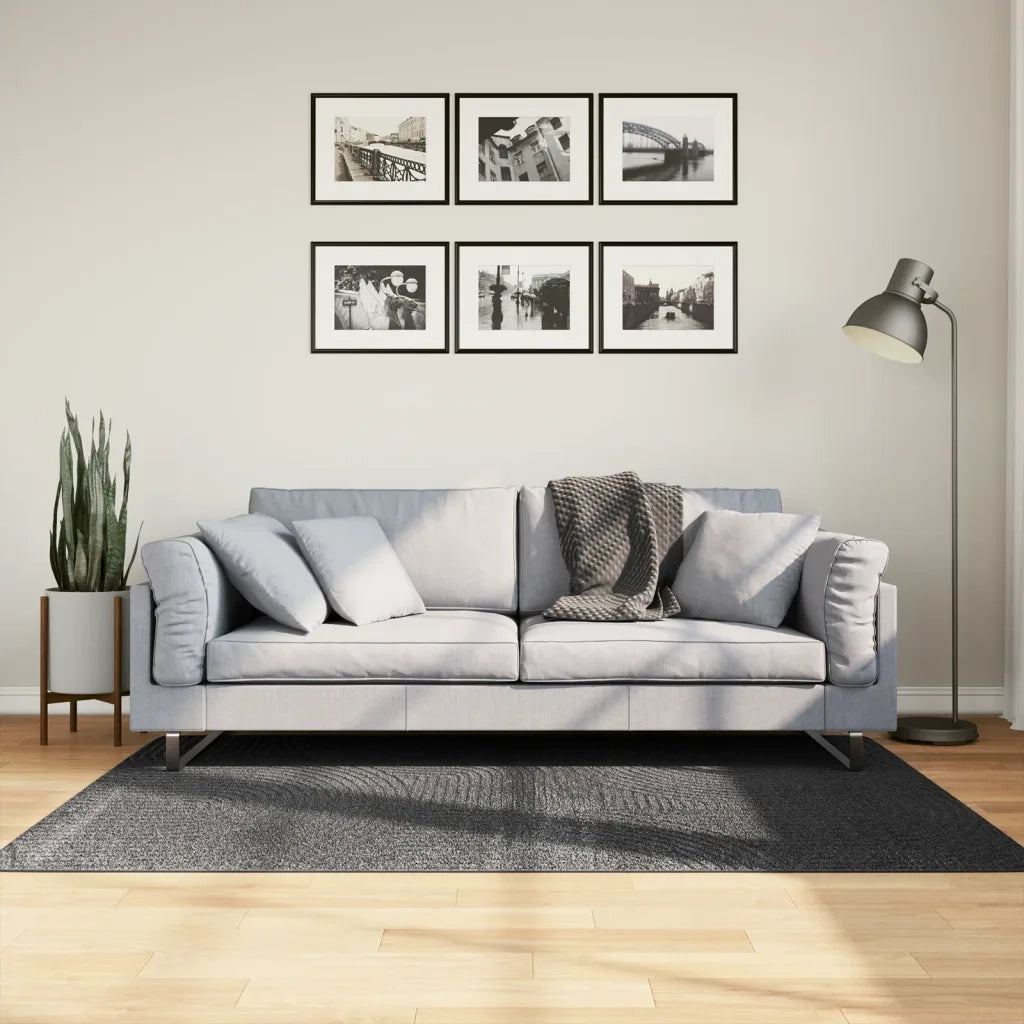 Tappeto del soggiorno | Tappeto IZA a Pelo Corto Aspetto Scandinavo antracite 120x170cm