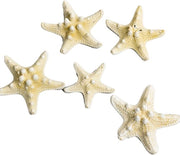 Decorazione per acquario 5 pezzi - Tema spiaggia - Ambiente marino - Forma unica - Dimensioni 5-7,5 cm - Decorazione per acquario