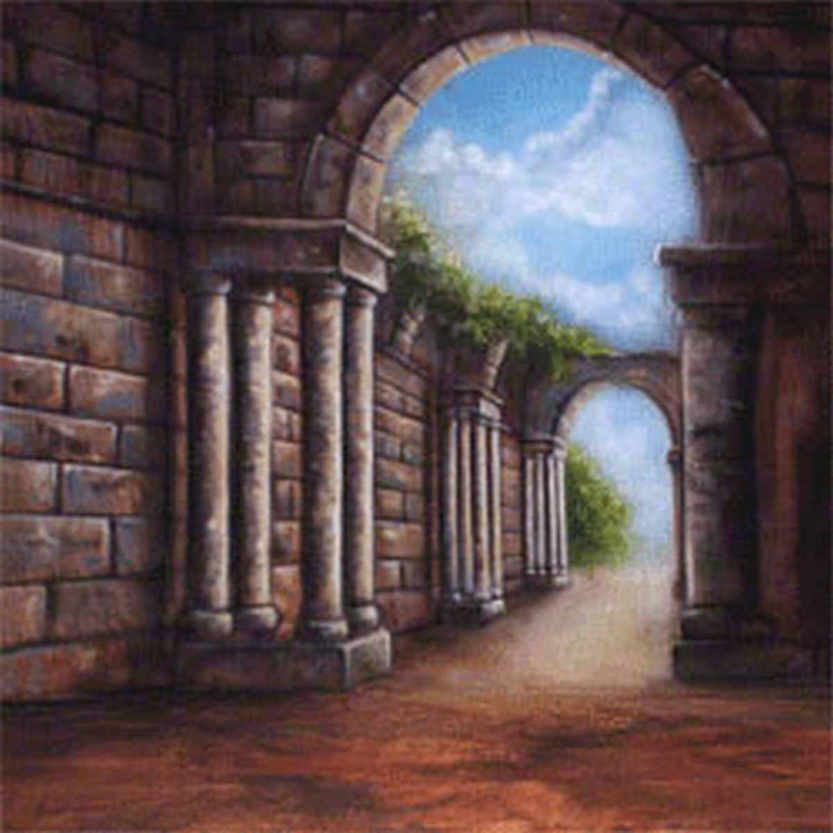 Walimex fondo in tessuto con motivo “Roma”, 3x6m