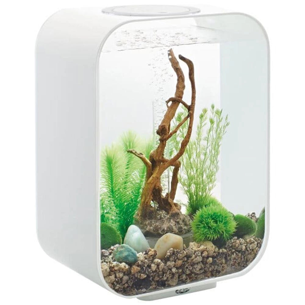 Oase BiOrb Life 15 LED Bianco - mini acquario in acrilico accessoriato cm29x19,3x40,7h
