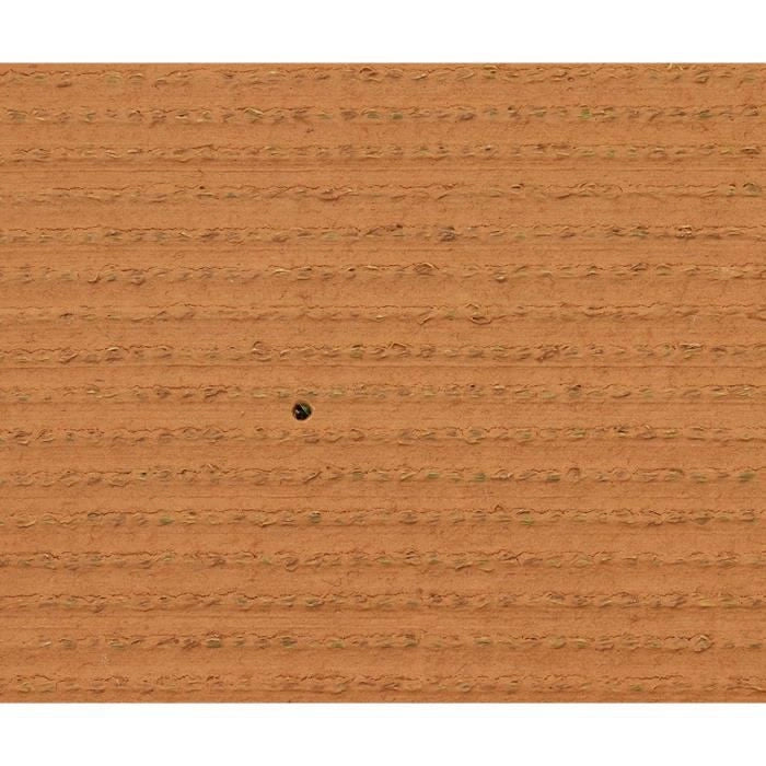 Erba - EXELGREEN - 124414 - Natura 2D - 38 mm / 1 x 5 m