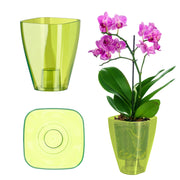 Vaso per orchidee KADAX in plastica, verde, resistente, 9 cm