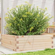 Fioriera da Giardino 70x70x23 cm in Legno Massello di Pino 847193