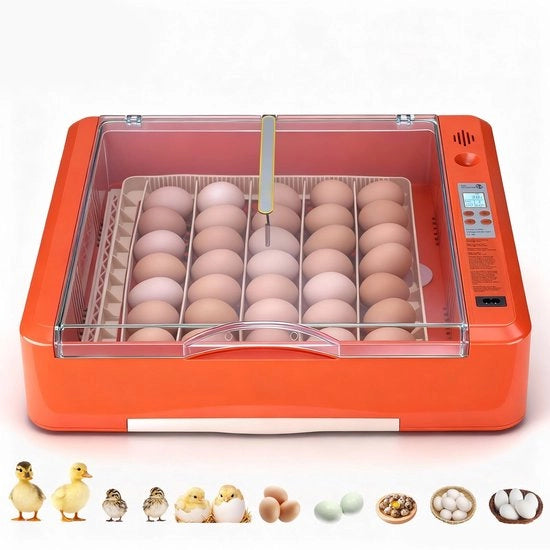 Macchina per Incubazione - Automatica - Capacità 36 Uova - Raccoglitore di Uova Automatico - Regolazione Temperatura e Umidità - Per Polli, Anatre, Ovi e Quaglie