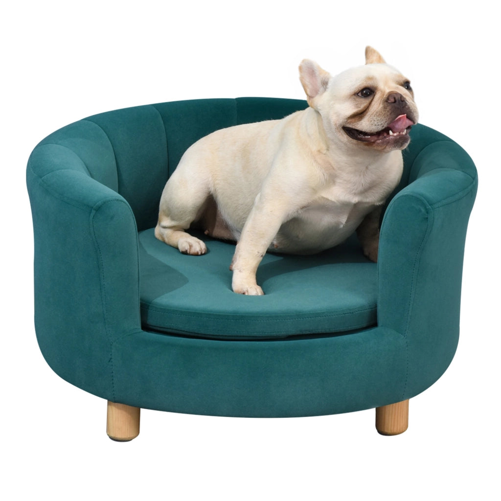 EasyComfort Divano per Cani Imbottito con Schienale e Cuscino Rimovibile, Cuccia per Gatto da Interno, 65x64x37 cm, Verde