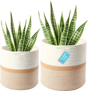 Set di contenitori per piante in cotone grande da 2 pezzi per interni - contenitore di archiviazione & vaso per piante - hanger a fiori con striscia di miele