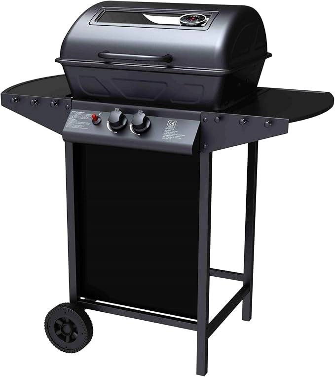 Barbecue a Gas 2 Fuochi John Fuoco Principale da 5,5 kW Accensione Piezoelettrica in Acciaio Smaltato Nero