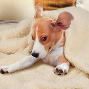 Piuma per gatto o cane, finitura soffice, degenere deken d'inverno, deken a pelo di fleece, deken per gatto accogliente.