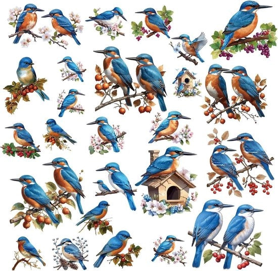 Sticker autoadesivo per finestre, decorazione per la primavera, impermeabile, antiurto, ufficio festivo, serra.