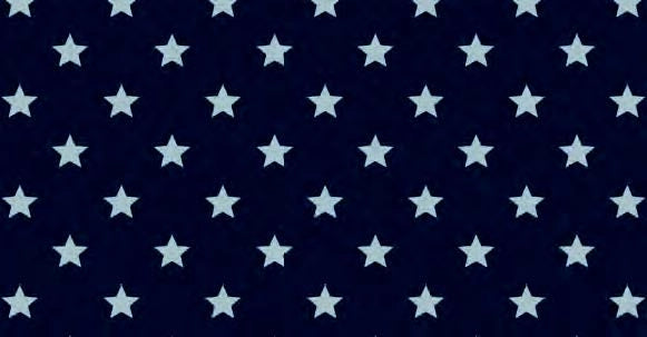 Plast. Ad.Rotolo Stars Grey45X200Cm