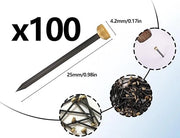 Assortimento di Spiedini - Set di Viti da Parete, Spiedini a Testa Piana, Spiedini per Onde d'Immagine, Viti da Parete, Assortimento di Hardware da 100 Spiedini
