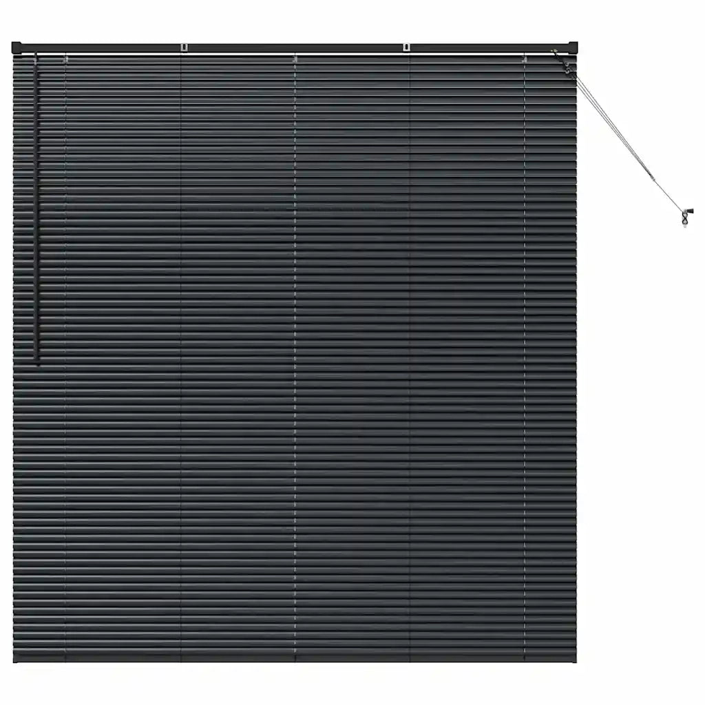 Tendaggi a Veneziana | Tenda a lamelle Nero 175 x 160 cm Alluminio