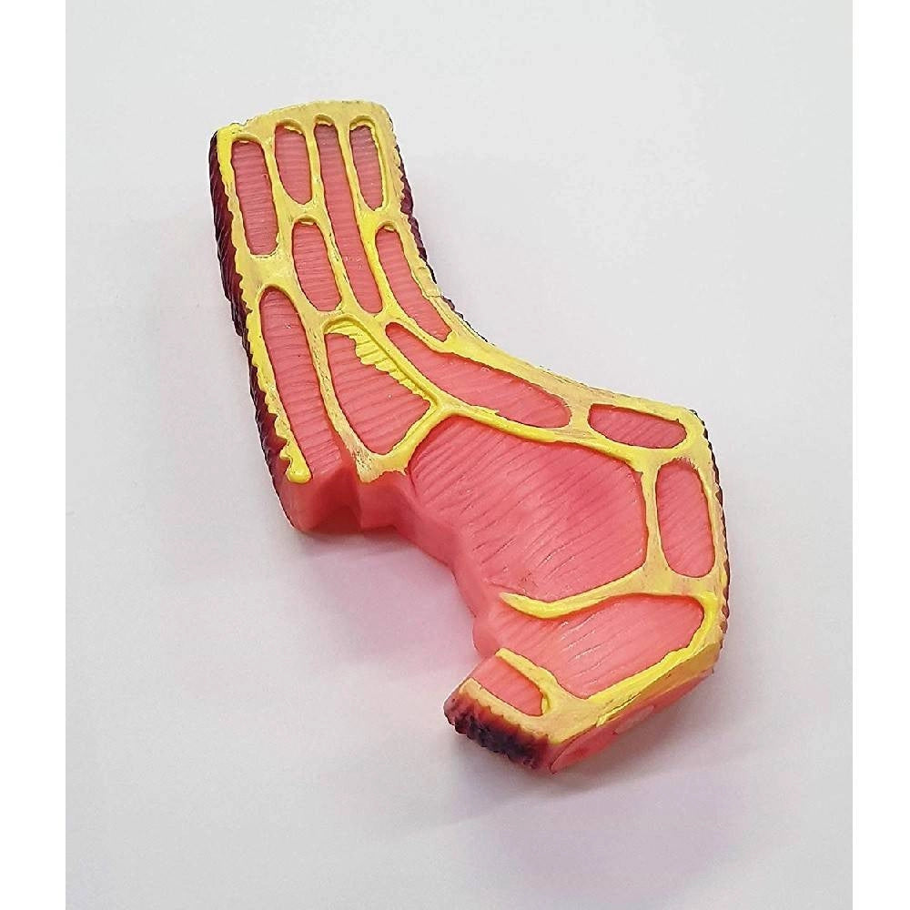 Trade Shop - Gioco Bistecca Rosa Suono Stridulo In Plastica Cani Cane Masticare Denti Animali -