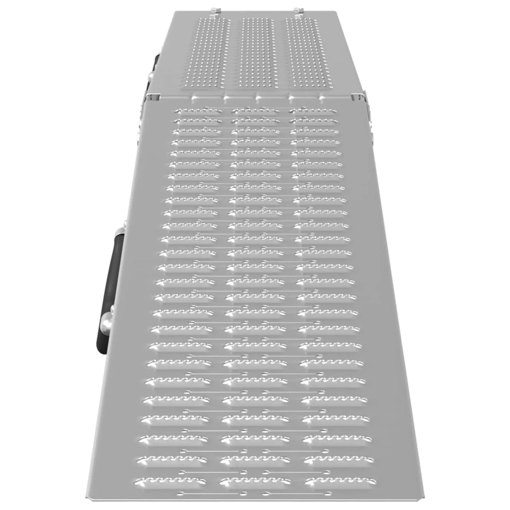Rampe Pieghevoli 200kg per rampa 2 pz Argento Acciaio zincato CFW8881449