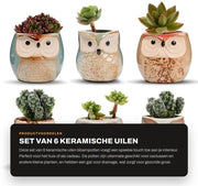Vaso per piante in ceramica - 6 pezzi - vaso per cactus con foro - vaso per bonsai con foro - ideale regalo - vaso per piante