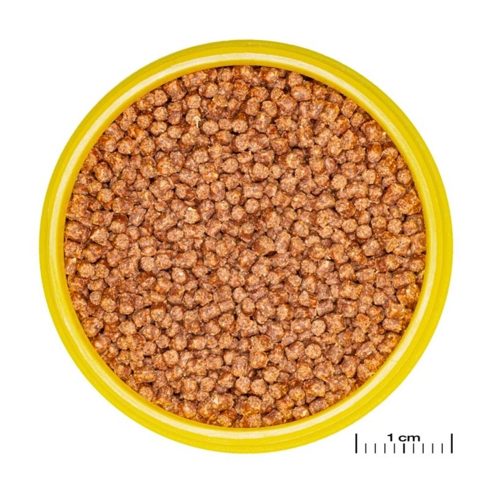 JBL ProNovo Fantail Grano S 100ml - Mangime base in granuli per Veiltails e altre varietà di pesce rosso da 3 a 10cm