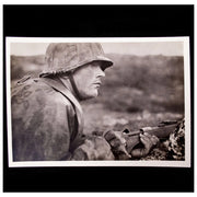 SS-Gebirgsdivision NORD Postcard Tragtierkolonne