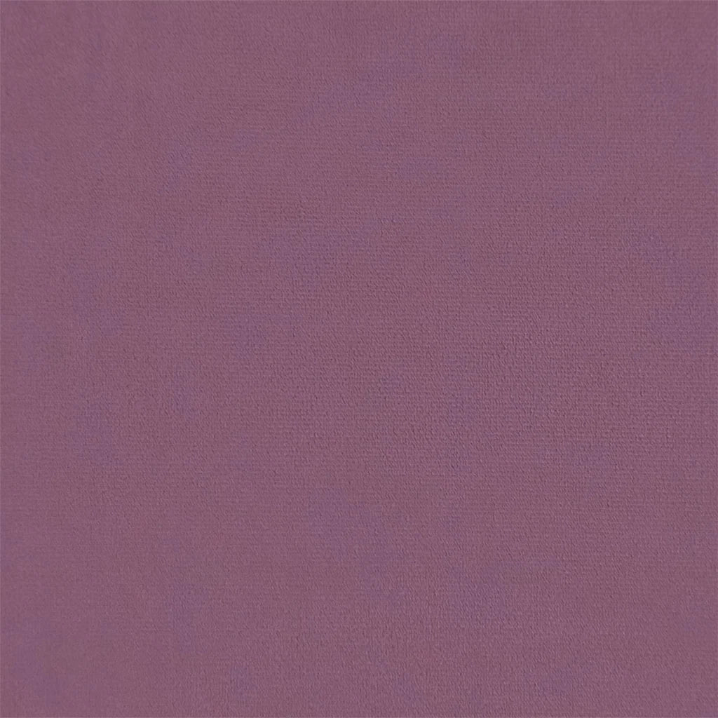 Divani con cuscino 55cm Viola Legno compensato 42023445