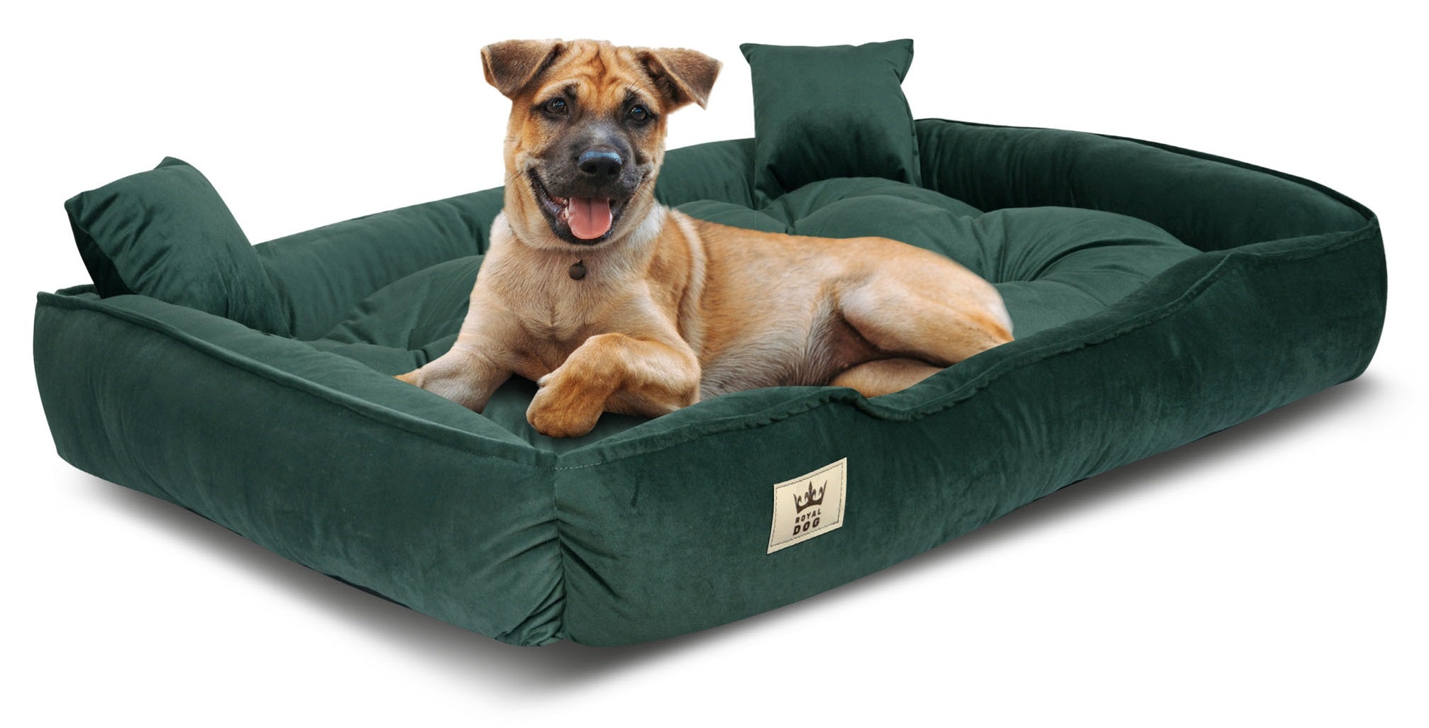 AIO FACTORY 130x105 cm Letto per cani in velluto verde scuro impermeabile
