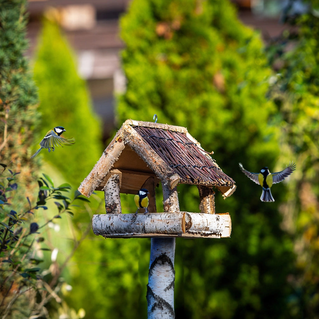 KADAX Grande mangiatoia per uccelli in legno da appendere, decorazione da giardino.