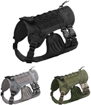 Alzacollo Tattico per Cane da Servizio | Configurabile – Resistenza Militare di Alta Qualità per Allenamento e Esterno (Nero, L)