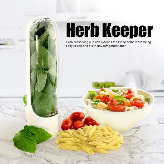 Contenitore di conservazione in vetro per erbe fresche (Koriander, Menta, Prezzemolo, Asparagi) - non trattato con BPA - richiede contenuto HTML.