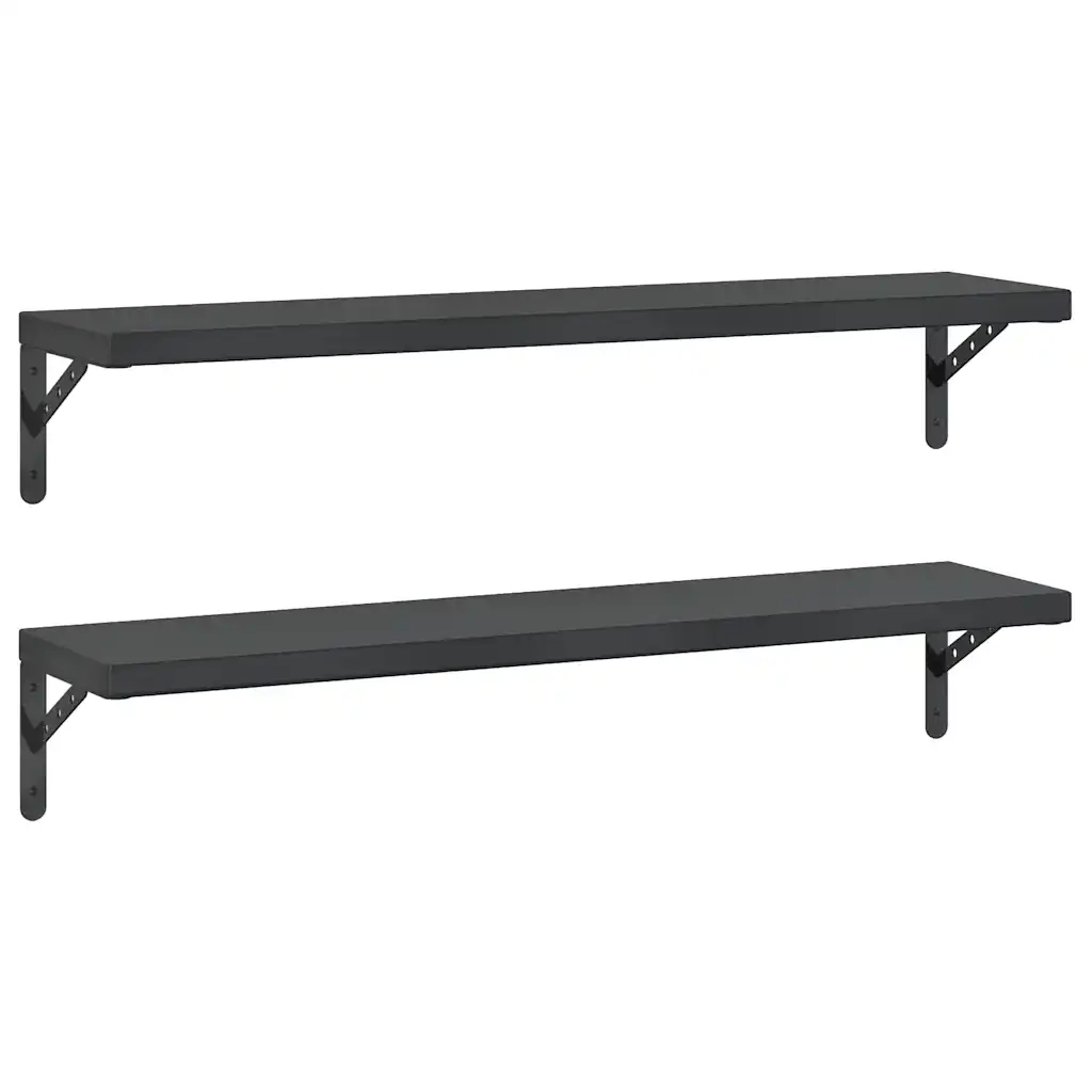 2 pz Mensole a Muro | Scaffale Parete | Ripiano a parete 100x23,5 cm Nero in Acciaio Inossidabile