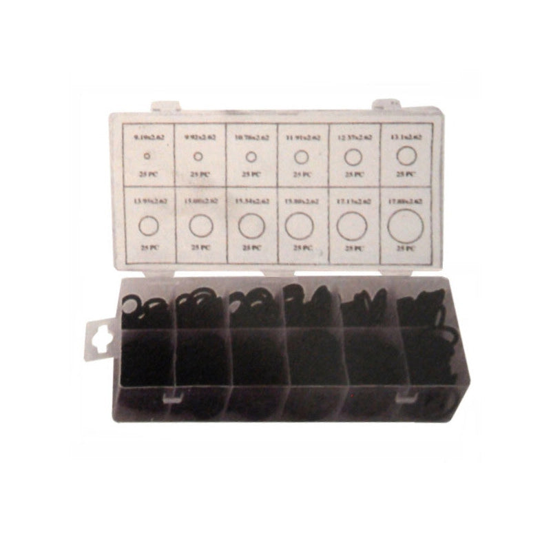O-Ring Assortimento Pz.300 Aglaia 09452