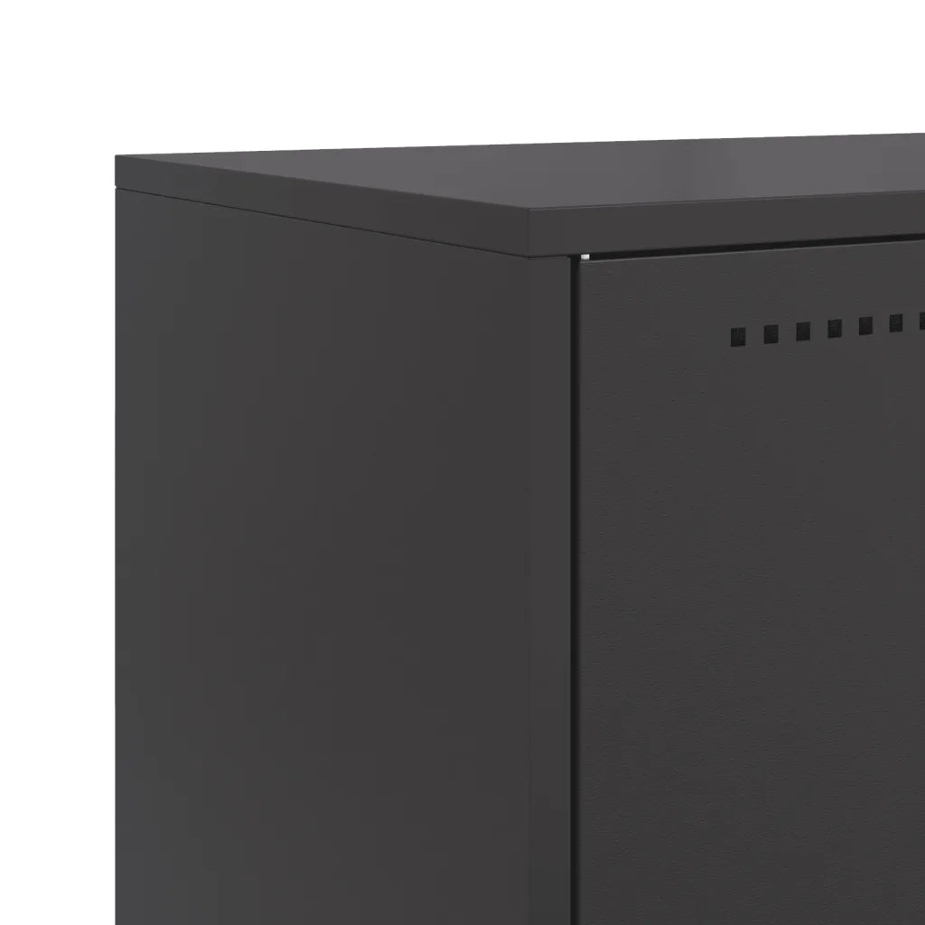 Credenza | Madia | Buffet da pranzo | Armadio da pranzo Nera 68,5x38,5x123,5 cm in Acciaio