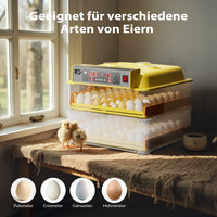 Incubatrice automatica per 112 uova, con regolazione temperatura e umidità, Covatrice