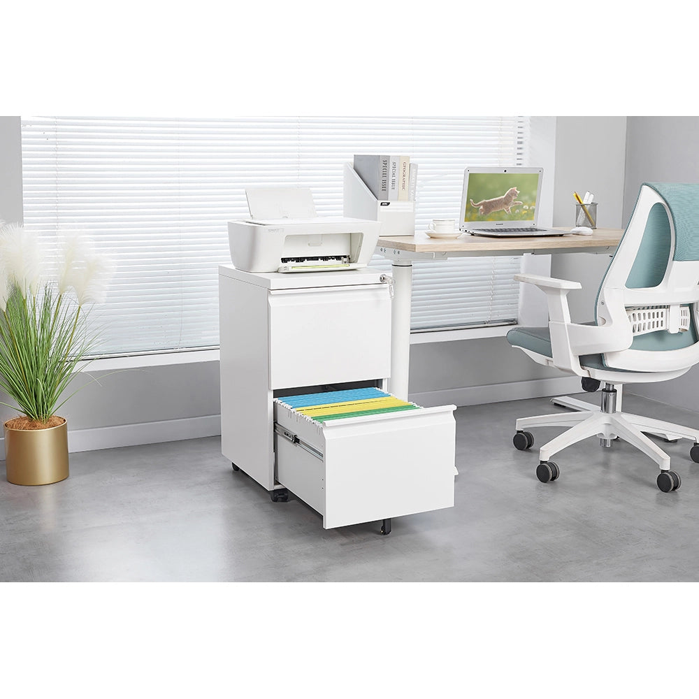 Archivio metallico mobile a 2 cassetti con serratura - Xylo - 25,6 pollici di altezza, bianco
