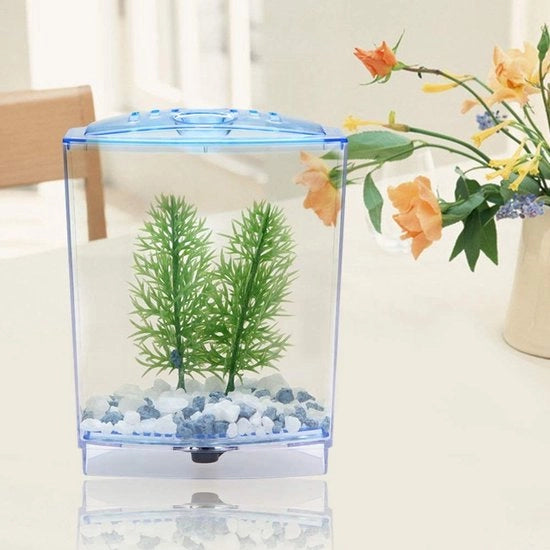 Mini acquario con alta trasparenza - Decorazione per acquario - Pianta acquatica - Acquario in vetro trasparente - Ottimale circolazione dell'aria - Incluso dispositivo di arresto del refluo