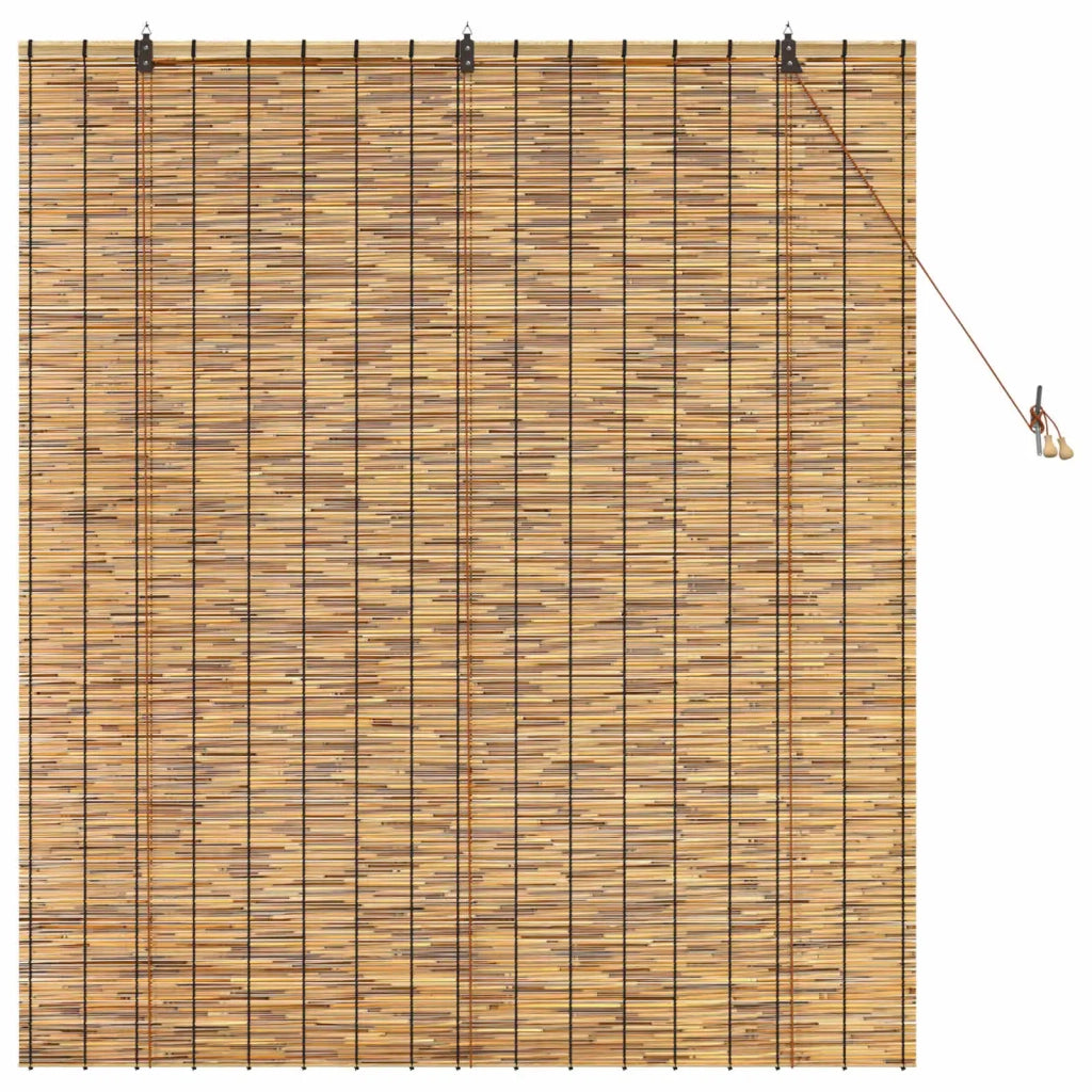 Tenda a rullo Marrone 140 x 160 cm Giunco 42034657
