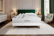 Pacchetto letto completo - Materasso 160x200cm + Box spring con doghe (in kit) + 2 cuscini + Piumino - Lancaster