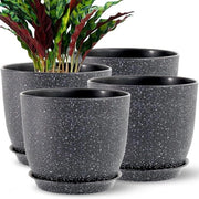 Piantine da Interno ed Esterno con Piatti 20cm - Piantini con Fondo Speckled Nero per Piante da Interno