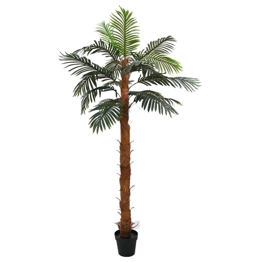 Albero di Cocuspalm Artificiale Verde 70 x 20 x 200 cm CFW7686315
