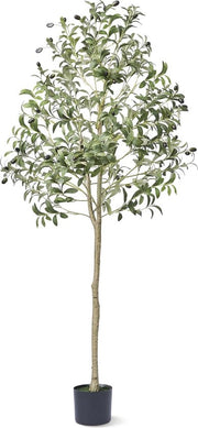 Pianta di Finto Olivo - 1,5m Altezza - Per Interno ed Esterno - Realistica Apparenza