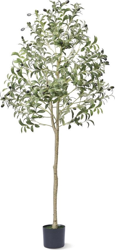 Pianta di Finto Olivo - 1,5m Altezza - Per Interno ed Esterno - Realistica Apparenza