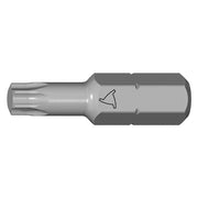 INSERTI PER VITI IMPRONTA TORX TX 25 x 25 mm - cf.10 pz  - LTI