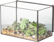 Vetrina terrario - decorazione moderna - 1 pezzo - nero - 17x10x12 cm
