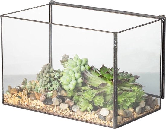 Vetrina terrario - decorazione moderna - 1 pezzo - nero - 17x10x12 cm