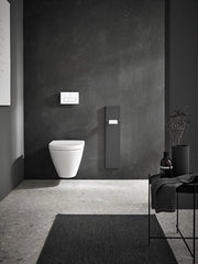Modulo di armadiatura per bagno - Contenitore per carta igienica e spazzola per il water - "Apri con spinta" - Cassetto bagno grigio opaco alto