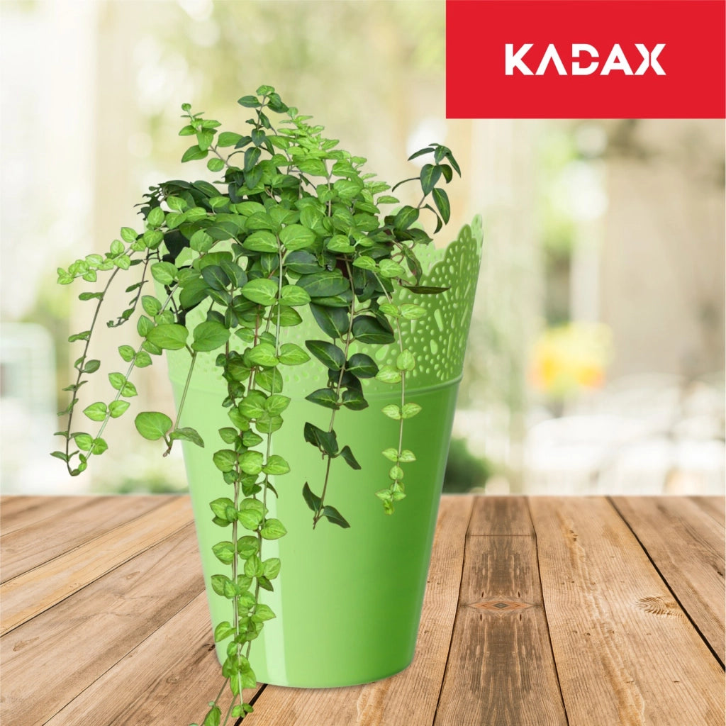 Vaso da fiori KADAX, vaso da fiori, coperchio, alto, in plastica, 12 cm, verde
